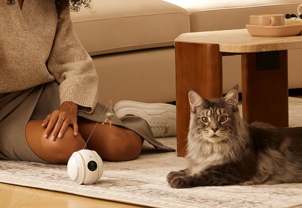 movable pet camera