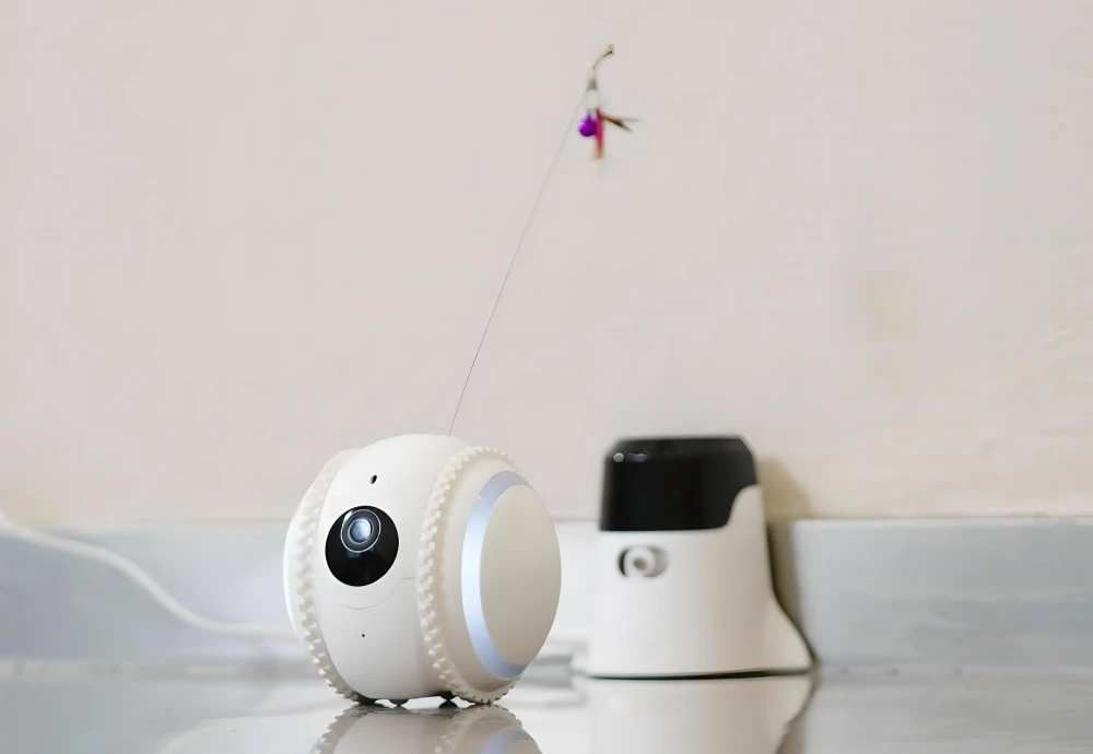 movable pet camera