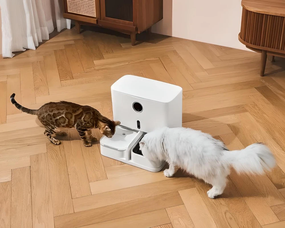 dog feeder automatic